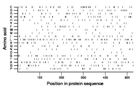 amino acid map