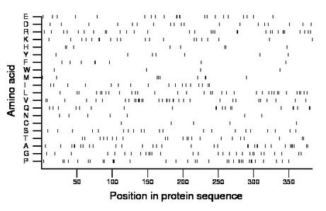 amino acid map