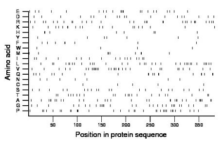 amino acid map