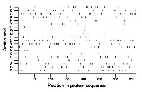 amino acid map