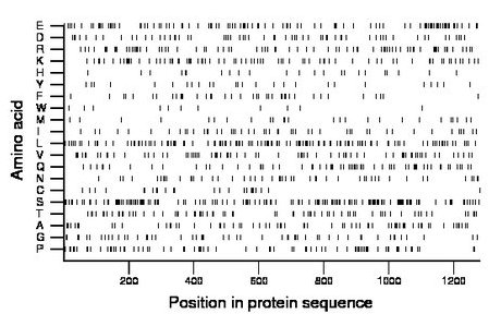 amino acid map