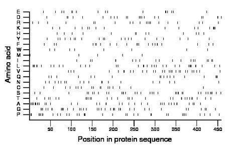 amino acid map