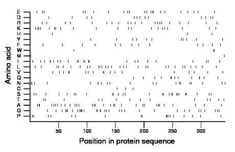 amino acid map