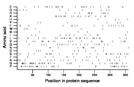 amino acid map