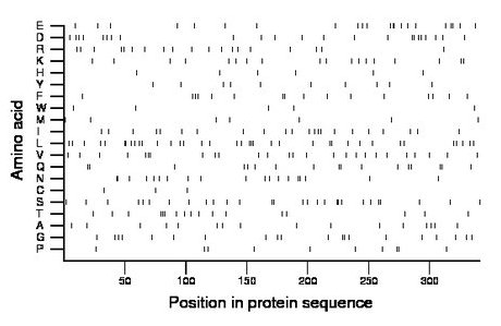 amino acid map