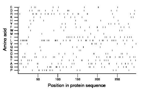 amino acid map