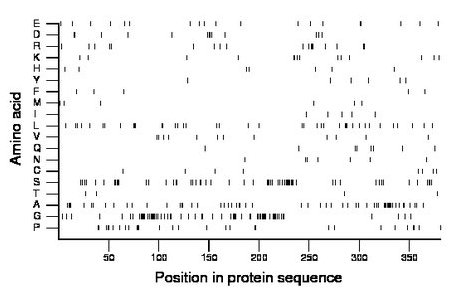 amino acid map