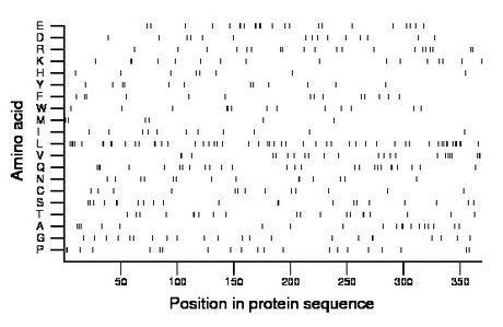 amino acid map