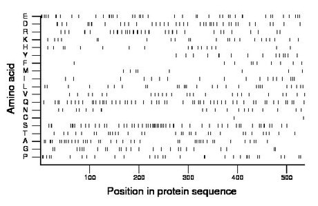 amino acid map