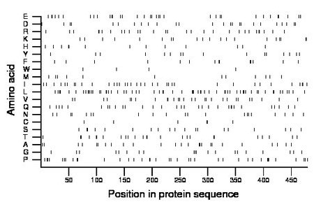 amino acid map