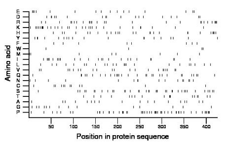 amino acid map