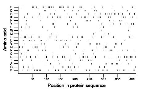 amino acid map