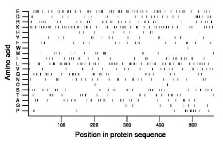 amino acid map