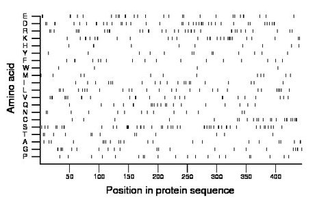 amino acid map