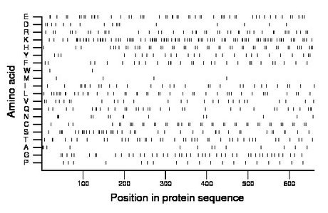 amino acid map