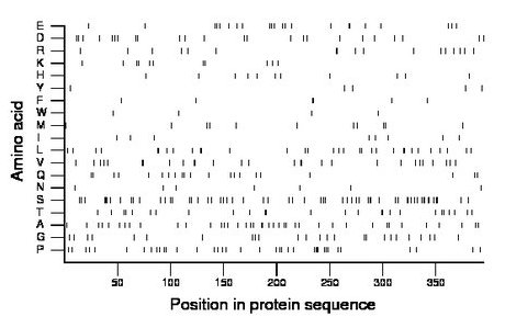 amino acid map