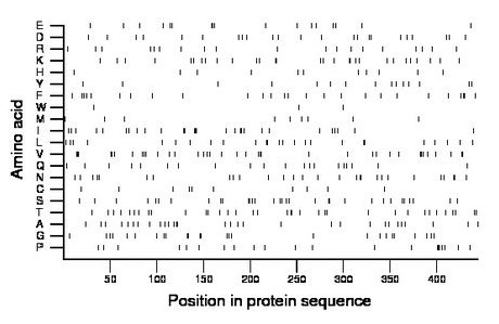 amino acid map