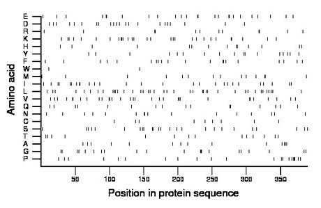 amino acid map