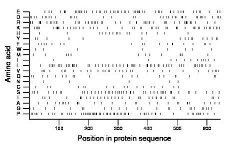 amino acid map