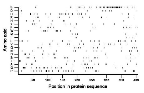 amino acid map