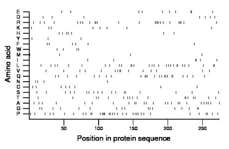 amino acid map