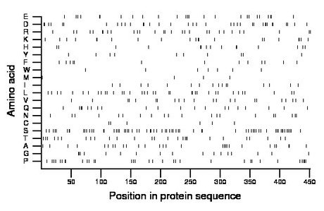 amino acid map