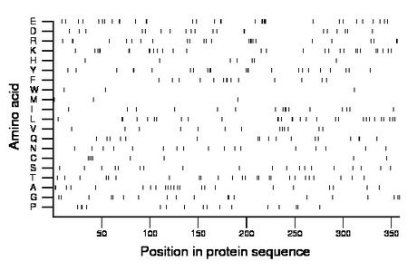 amino acid map