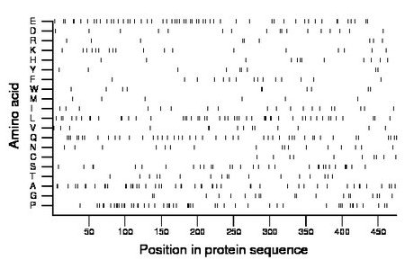 amino acid map