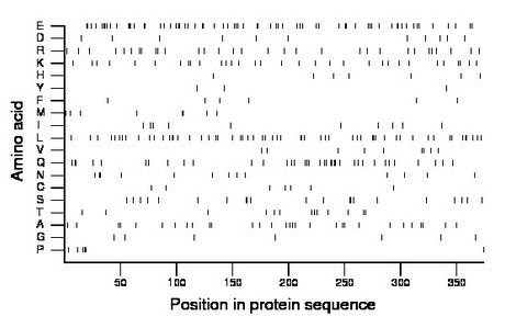 amino acid map