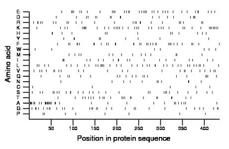 amino acid map