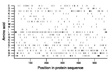 amino acid map