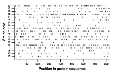 amino acid map