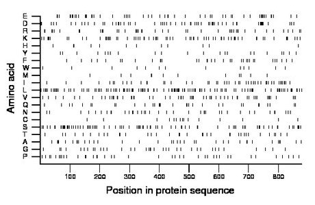 amino acid map