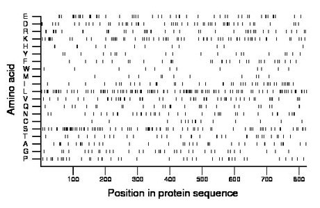 amino acid map