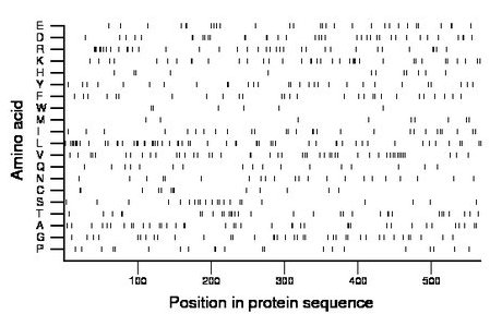 amino acid map