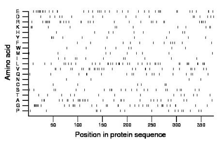 amino acid map