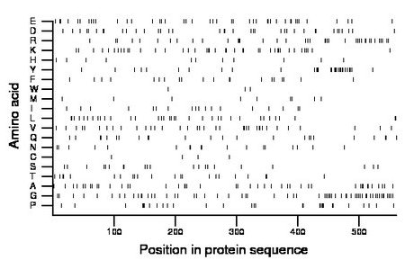 amino acid map