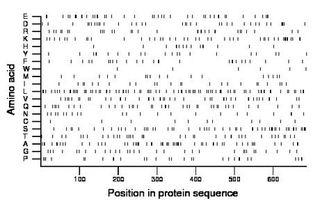 amino acid map