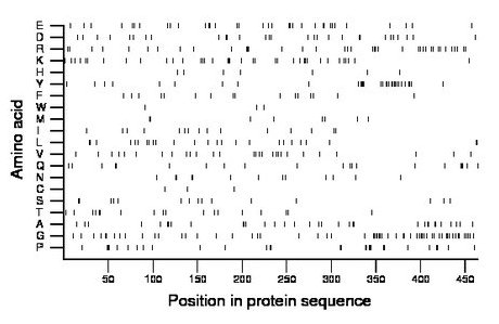 amino acid map