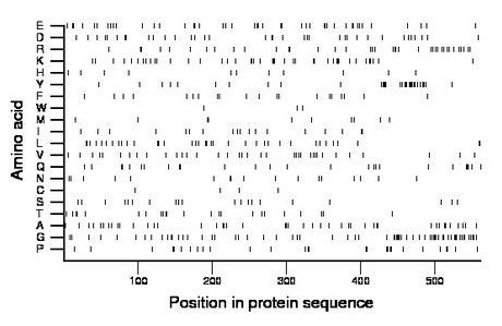 amino acid map