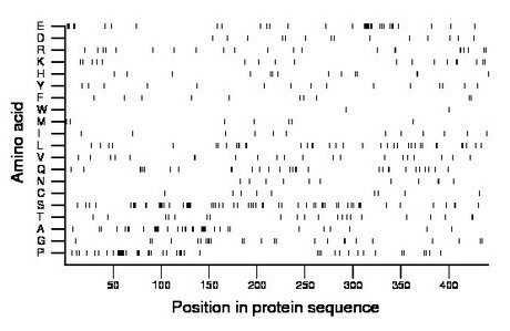 amino acid map