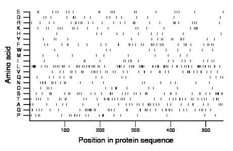 amino acid map