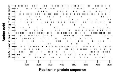 amino acid map