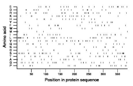 amino acid map