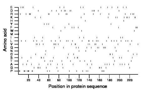 amino acid map