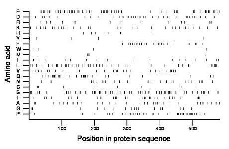 amino acid map