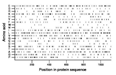 amino acid map