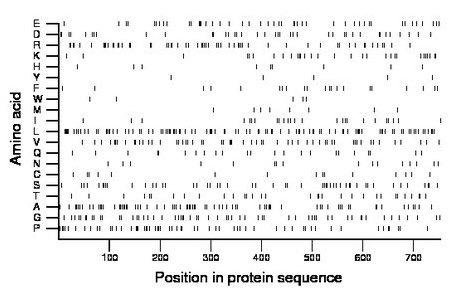 amino acid map