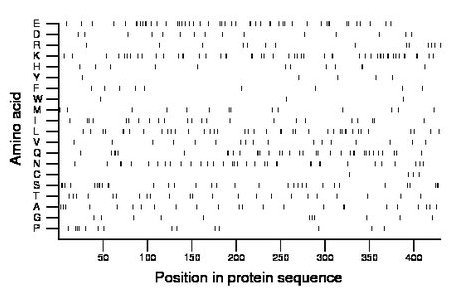 amino acid map