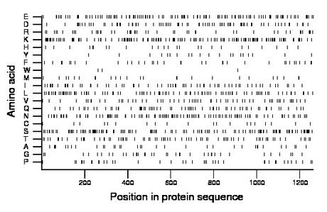 amino acid map